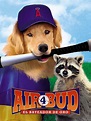 Prime Video: Air Bud 4: El bateador de Oro