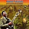 Muddy Waters - Down On Stovall's Plantation (2004, 180 gr, Vinyl) | Discogs