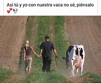 Así tú y yo con nuestra vaca no sé, piénsalo. - Memes