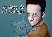 O gato de Schrödinger | Katzen malereien, Katzen kunst, Seltsame katzen