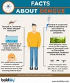 Dengue: Causes, Symptoms, Diagnosis & Treatment - Boldsky.com