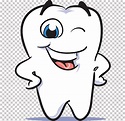 Sonriente ilustración dientes blancos, dientes humanos sonrisa ...