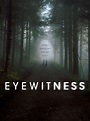 Eyewitness Saison 1 - AlloCiné