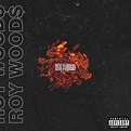 Roy Woods - Nocturnal Lyrics and Tracklist | Genius