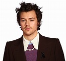 Harry Styles PNG High Quality Image | PNG All