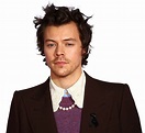 Harry Styles PNG High Quality Image - PNG All | PNG All