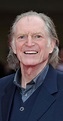 David Bradley - IMDb