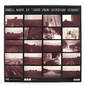 Swell Maps: ... In "Jane From Occupied Europe" Vinyl LP – TurntableLab.com