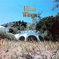 "Wonderue" by Little Wings (distributed LP) — Gnome Life Records