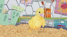 Watch Wonder Pets Season 3 Episode 3: Save the Dancing Duck!/Save the ...