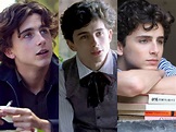 Every Timothée Chalamet movie, ranked by critics