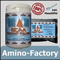 MAX BCAA Instant Aminosäuren Pulver von Amino-Factory