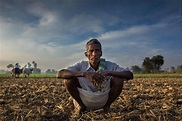 NGOs Helping Indian Farmers - BORGEN