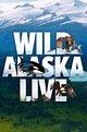 Wild Alaska Live | Programs | PBS SoCal