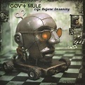 Gov't Mule-Life Before Insanity Limited Edition 20Th Anniversary Green ...