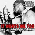 It Hurts Me Too - The Legendary Elmore James di Elmore James su Amazon ...