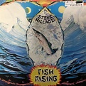 Steve Hillage – Fish Rising (1975, Vinyl) - Discogs