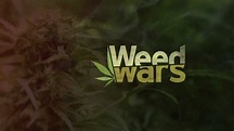 Weed Wars: a new look inside the world of medicinal marijuana