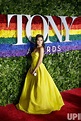 Photo: 73rd Annual Tony Awards in New York - NYP20190609632 - UPI.com