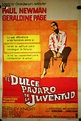 "DULCE PAJARO DE JUVENTUD" MOVIE POSTER - "SWEET BIRD OF YOUTH" MOVIE ...