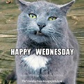 It's Wednesday, Funny & Happy Wednesday Meme with Wednesday Quotes