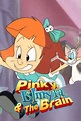 Pinky, Elmyra & The Brain (TV Series 1998-1999) - Posters — The Movie ...