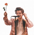 Harry Styles PNG HD Image | PNG All
