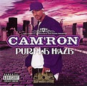 Cam'ron - Purple Haze: CD | Rap Music Guide