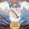 Fish Rising by Steve Hillage: Amazon.co.uk: CDs & Vinyl