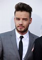 Liam Payne Picture 87 - American Music Awards 2015 - Arrivals