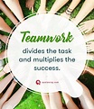 Teamwork quotes for work & Funny teamwork quotes - Quotesing