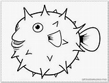 Blowfish Coloring Pages Coloring Pages