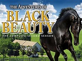 "The New Adventures of Black Beauty" Bella's Dilemma (TV Episode 1992 ...