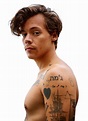 Singer Harry Styles PNG | PNG All