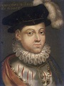 Biographie de François II, roi de France
