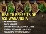 Weight Loss: Know how the Indian herb ‘ashwagandha’ can help you burn ...