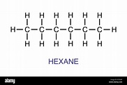 La ilustración de la fórmula estructural de hexano Imagen Vector de ...