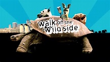 BBC One - Walk on the Wild Side