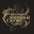 David Gilmour - Arnold Layne [Live Single] Lyrics and Tracklist | Genius