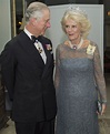 Camilla, Duchess of Cornwall | Duchess of cornwall, Prince charles and ...