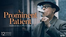 A Prominent Patient (2017) - AZ Movies