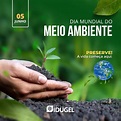 O Dia Mundial do Meio Ambiente: A Importância da Sustentabilidade na ...