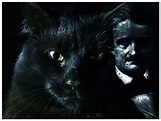 El Gato Negro: resumen, características, personajes, y mas