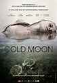 Cold Moon 02 November 2017 | Ram Entertainment