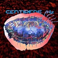 Animal Collective, ‘Centipede Hz’ - The Boston Globe