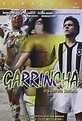 Garrincha Estrella Solitaria [USA] [DVD]: Amazon.es: Películas y TV