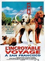 De vuelta a casa 2: Perdidos en San Francisco (Homeward Bound II: Lost ...