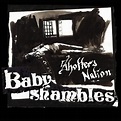 Shotter's Nation : Babyshambles | HMV&BOOKS online - TOCP-66705