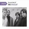 Mr Mister - Playlist: The Very Best of Mr. Mister - CD - Walmart.com ...