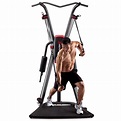 Weider X-factor Plus Home Gym.Fold Away Vertical Knee Raise (VKR ...
